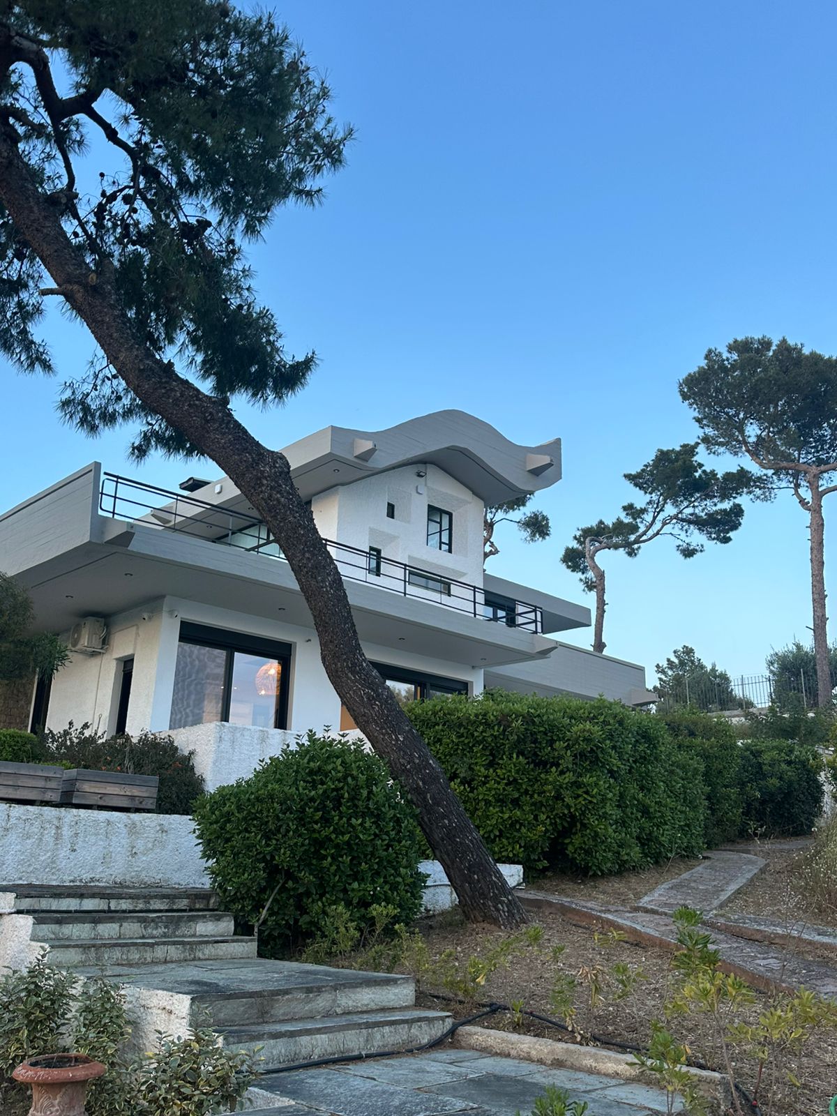 The house